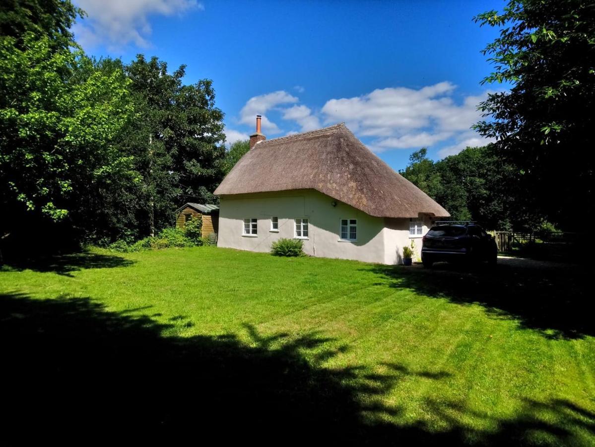 Honeysuckle Cottage Dorchester Zewnętrze zdjęcie