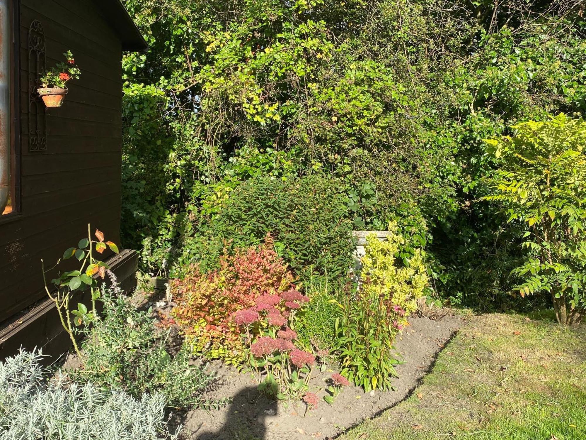 Honeysuckle Cottage Dorchester Zewnętrze zdjęcie